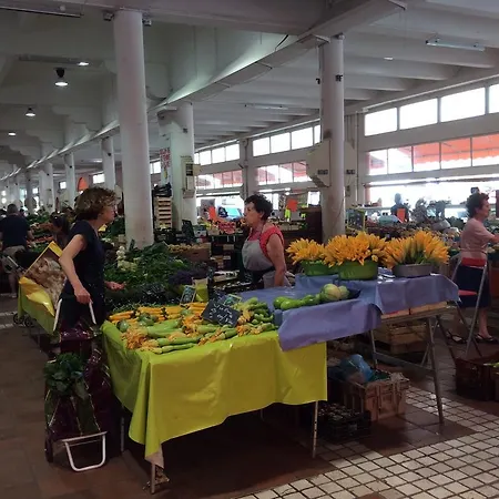 Апартаменты Avec Jardin Канны